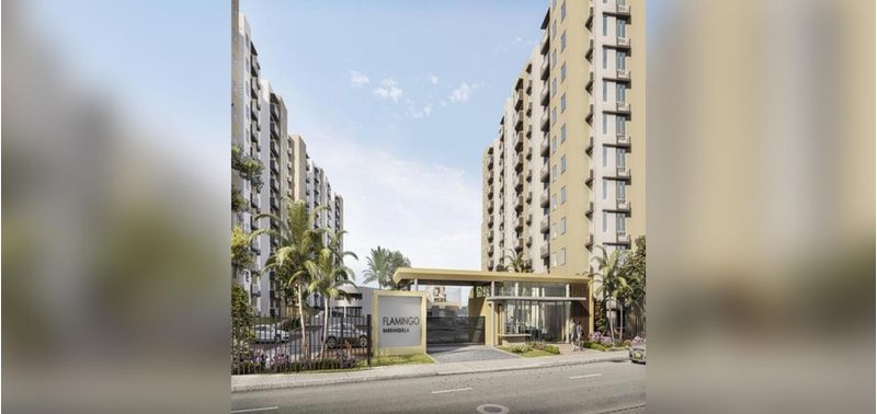 Flamingo proyecto de vivienda