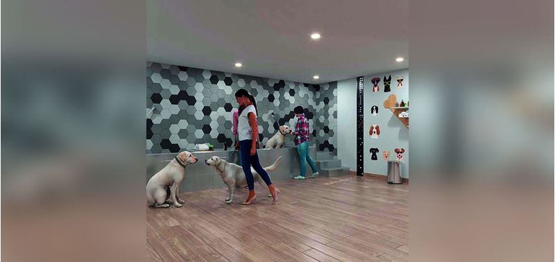 Nature Aqua proyecto de vivienda-2