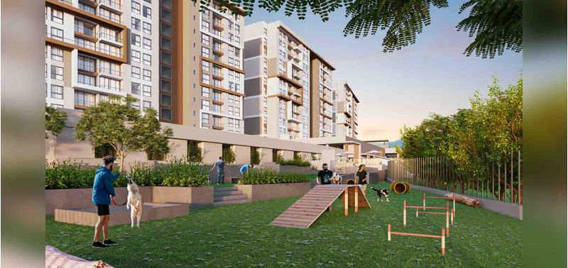 Pradera Viva proyecto de vivienda-6