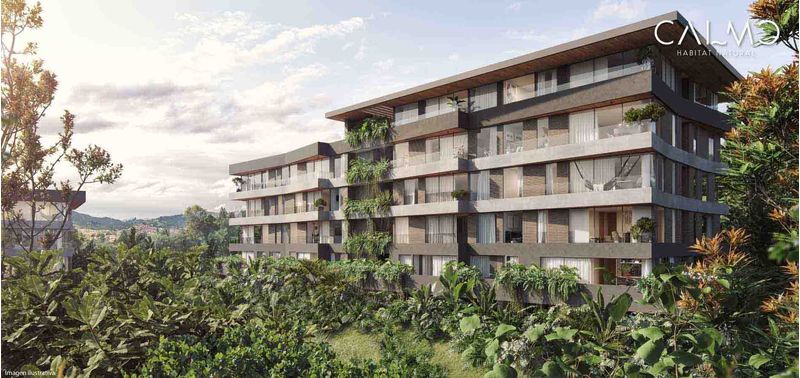 Calmo proyecto de vivienda-0