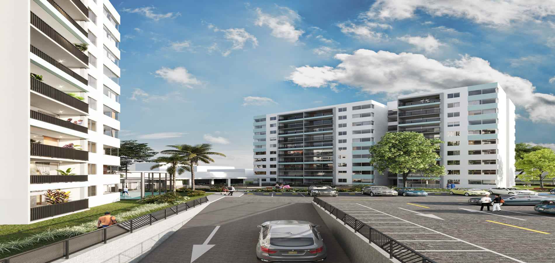 Proyecto de vivienda Brassika-1