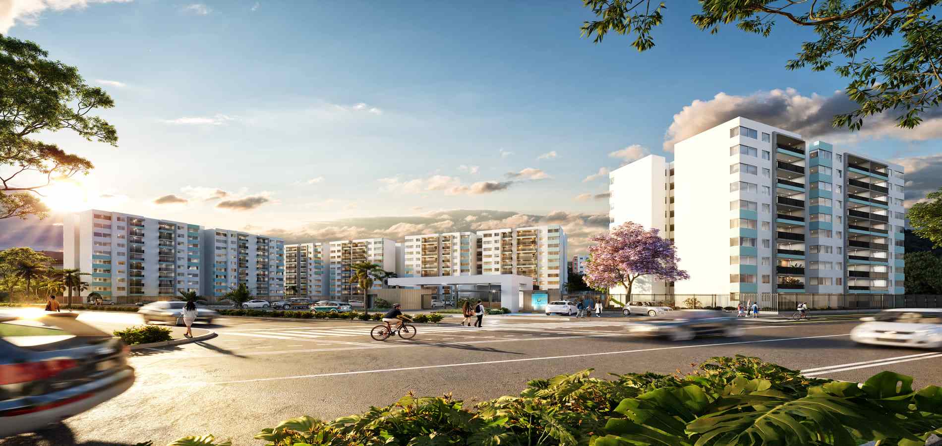 Proyecto de vivienda Brassika-2