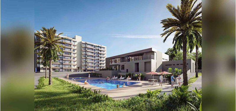 Moretti proyecto-2
