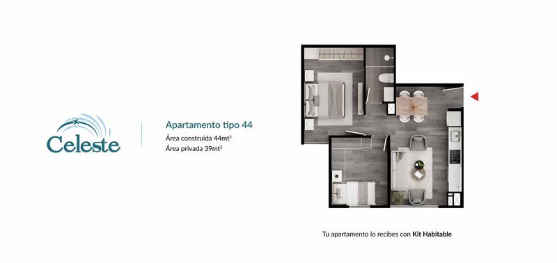 Celeste proyecto-1