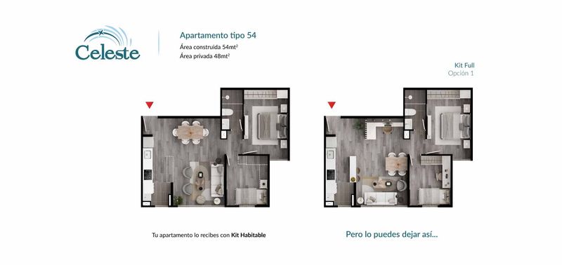 Celeste proyecto-2