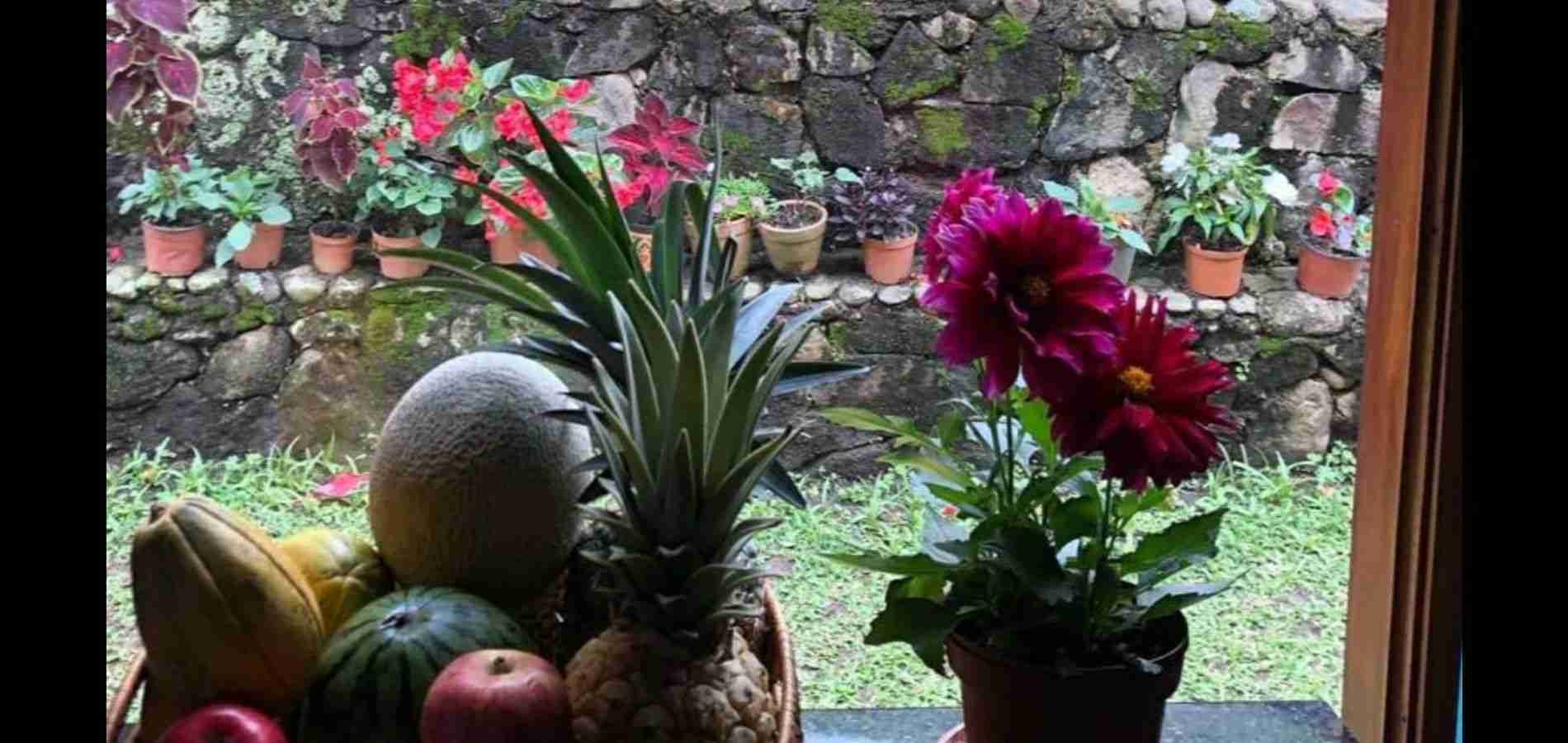 SE VENDE HERMOSA FINCA EN COPACABANA