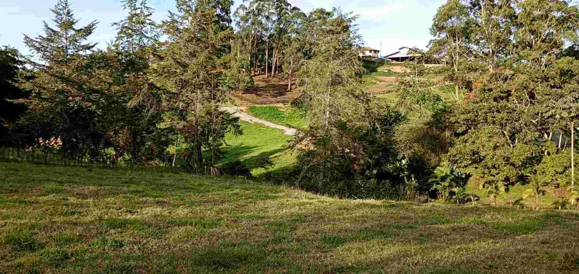 Lote Residencial en venta en Rionegro-0