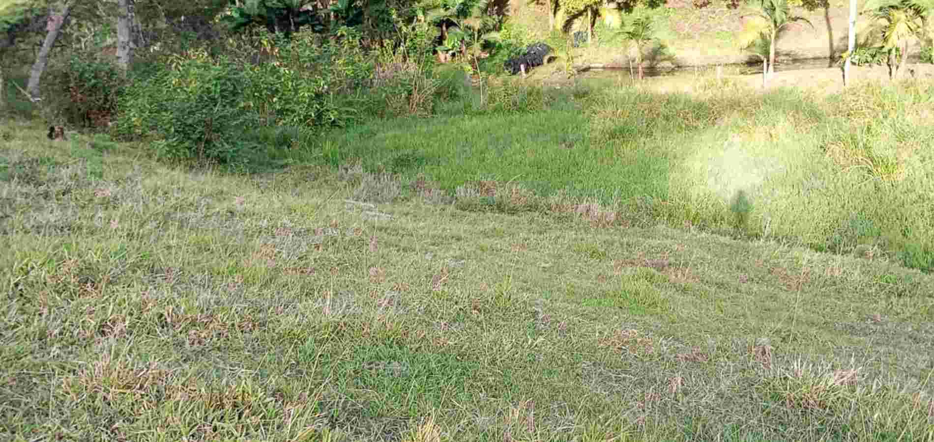 Lote Residencial en venta en Rionegro-2