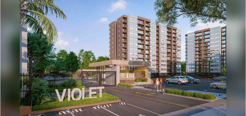 Violet proyecto de vivienda