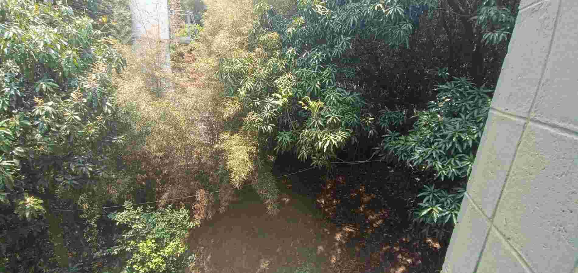 APARTAMENTO EN VENTA SECTOR SAN JAVIER, MEDELLIN-3