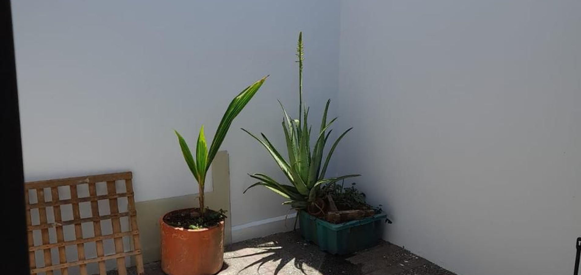 Apartamento en venta en Castilla, Medellín-0