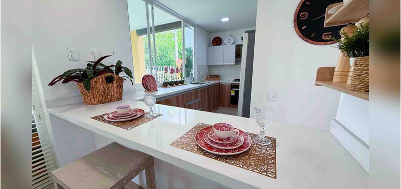 Cisnes del Castillo proyecto de vivienda-1
