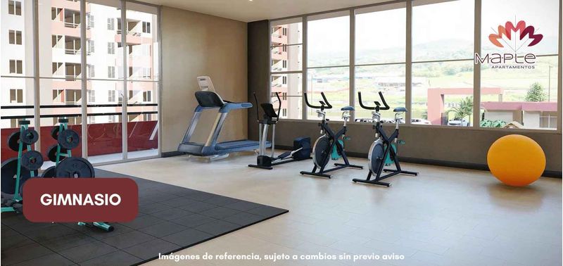Maple proyecto de vivienda-3