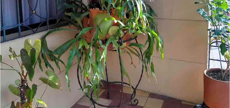 Casa en Venta en Medellín, María Auxiliadora-1