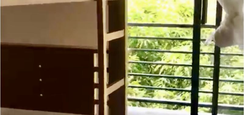 Casa en Venta en Sopetrán, Sopetrán-10