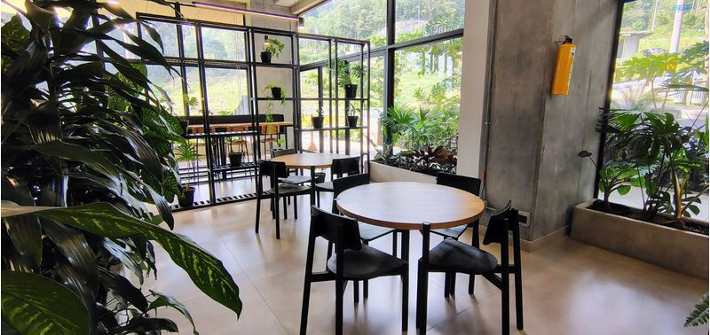 Apartamento en Venta en Medellín, Las Palmas-18