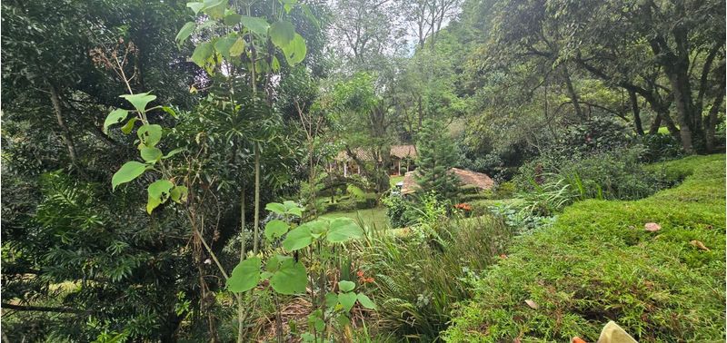 Casa en Venta en Medellín, Santa Elena-16