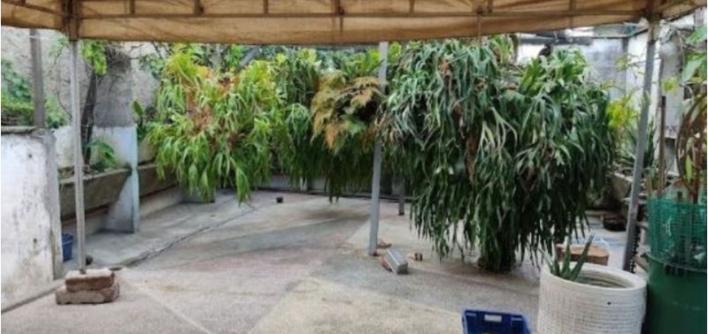 Casa en Venta en Medellín, El Chagualo-6
