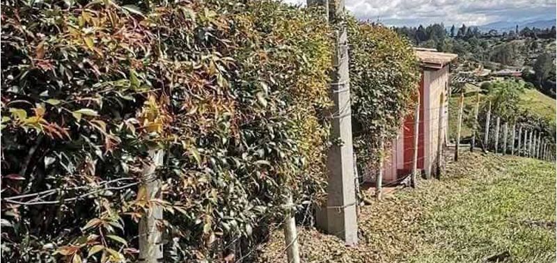Casa en Venta en Rionegro, Rionegro-6