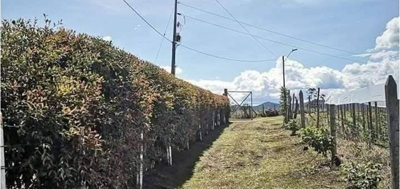 Casa en Venta en Rionegro, Rionegro-8