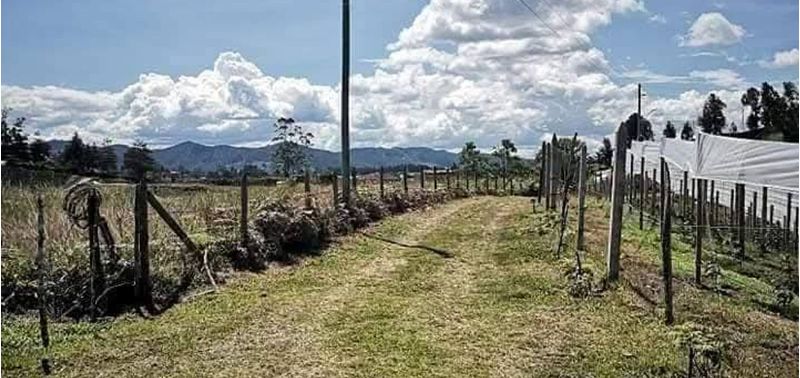 Casa en Venta en Rionegro, Rionegro-10
