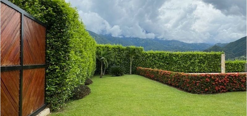 Casa en Venta en San Jerónimo, San Jerónimo-7