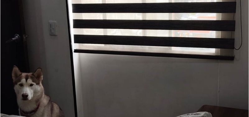 Apartamento en Venta en Bogotá, D.C., Fontibón Centro-6