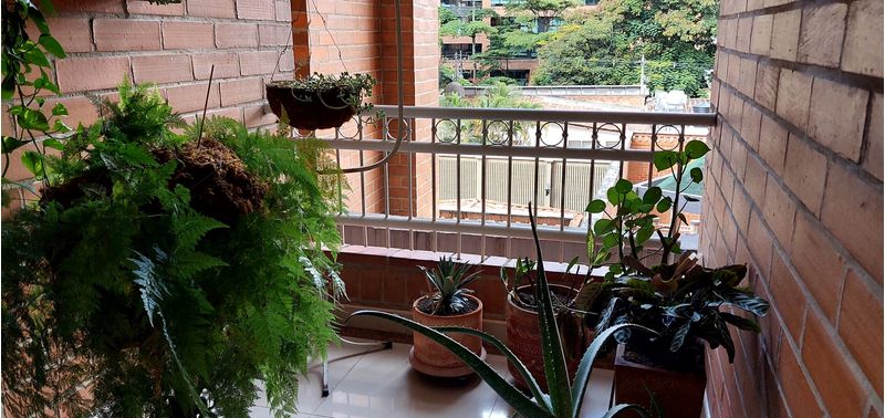 Apartamento en Venta en Medellín, Laureles-21