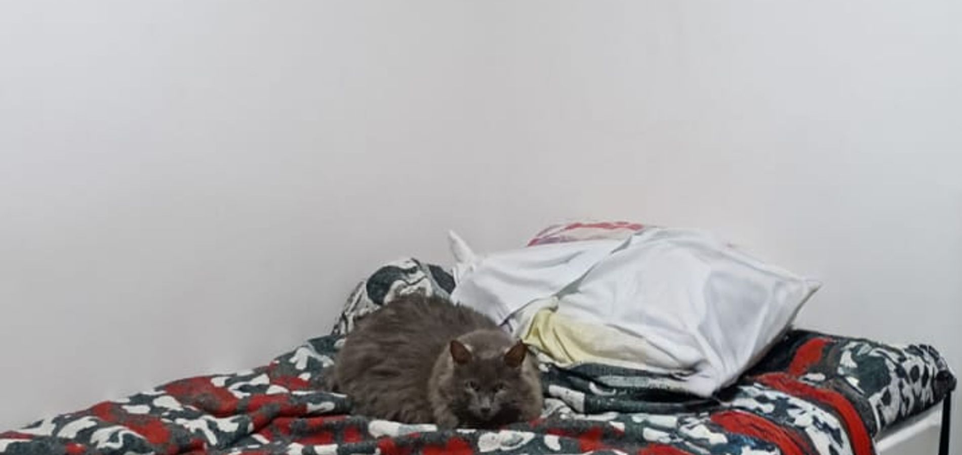 Apartamento en Venta en Bogotá, D.C., El Carmelo-0