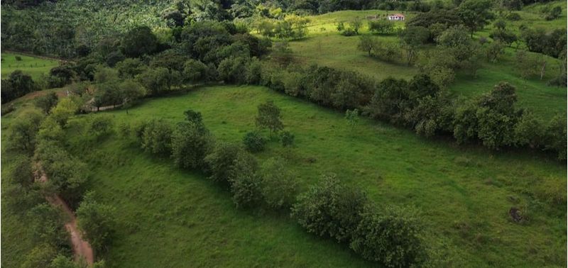 Casa en Venta en Hispania, Hispania-14