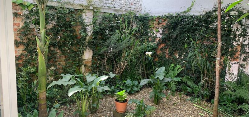 Casa en Venta en Bogotá, D.C., Chapinero Central-8