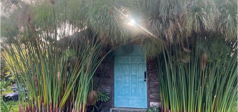 Casa en Venta en El Carmen De Viboral, Aguas Claras-7