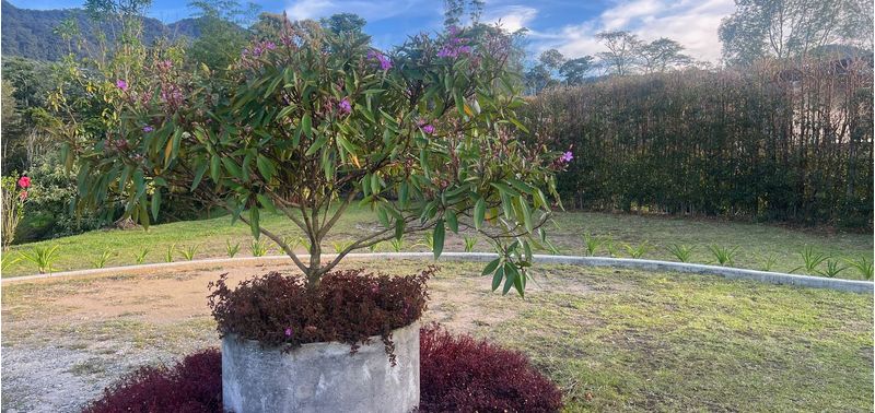 Casa en Venta en El Carmen De Viboral, Aguas Claras-10