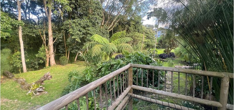 Casa en Venta en El Carmen De Viboral, Aguas Claras-15