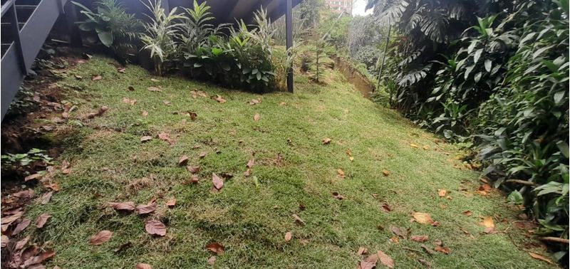 Casa en Venta en Medellín, Los Balsos-47