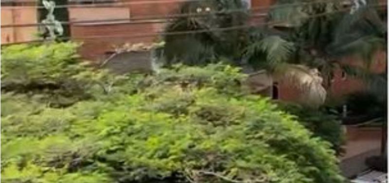 Apartamento en Venta en Medellín, Laureles-7