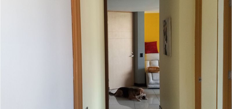 Apartamento en Venta en Envigado, Camino Verde-8