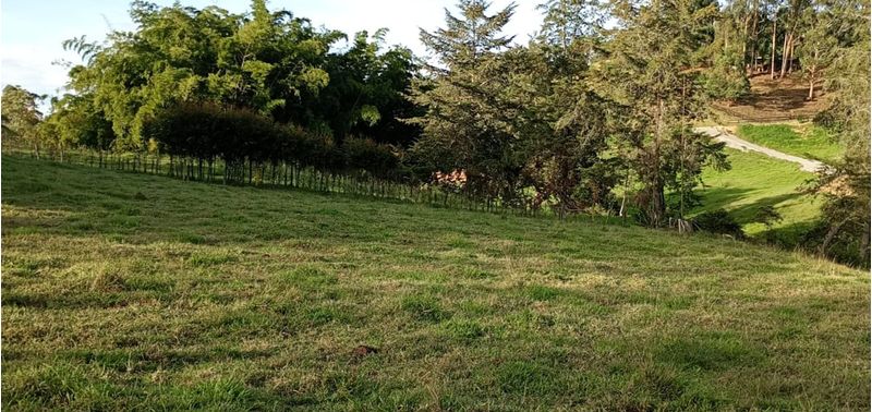 Casa en Venta en Rionegro, Rionegro