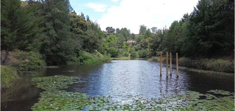 Casa en Venta en Rionegro, Rionegro-18