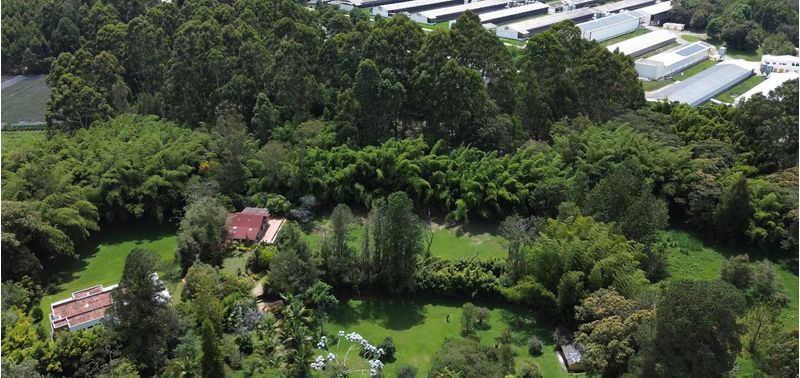 Casa en Venta en Rionegro, Rionegro-24
