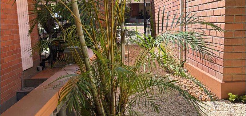 Casa en Venta en Envigado, Alcalá-37