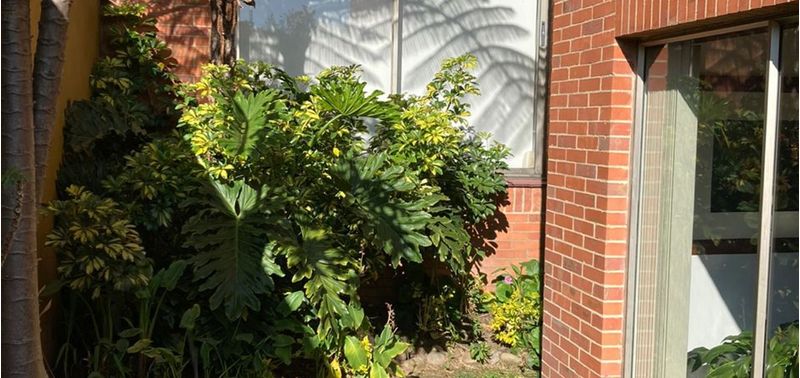Casa en Venta en Bogotá, D.C., Miraflores-12
