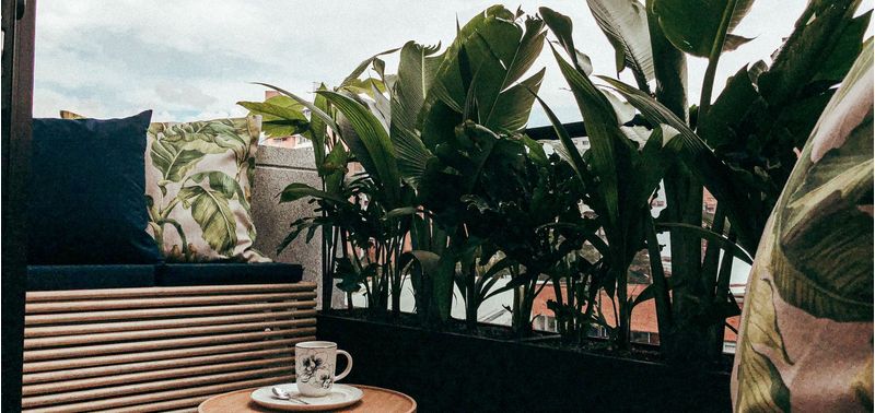 Apartamento en Venta en Medellín, Laureles-1