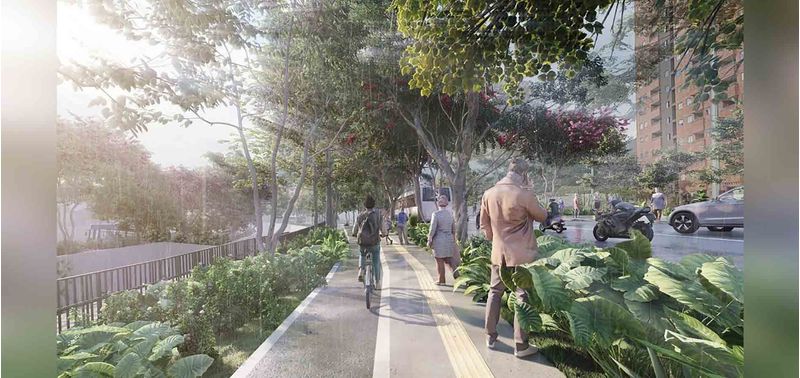 Herbario proyecto de vivienda-14