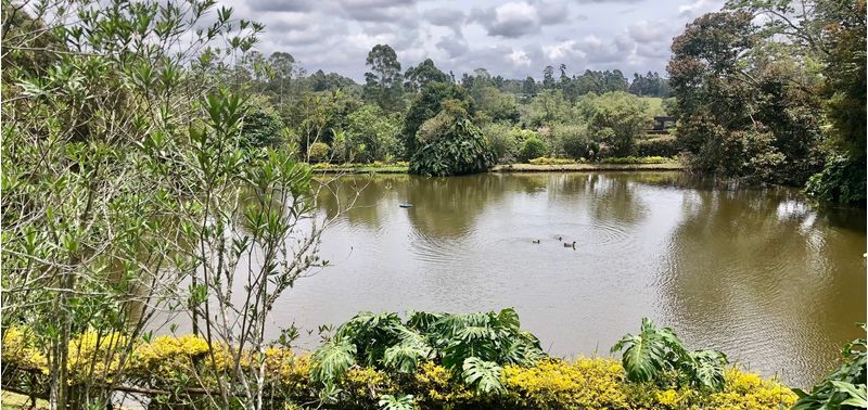 Casa en Venta en Rionegro, El Carmen de Viboral-12