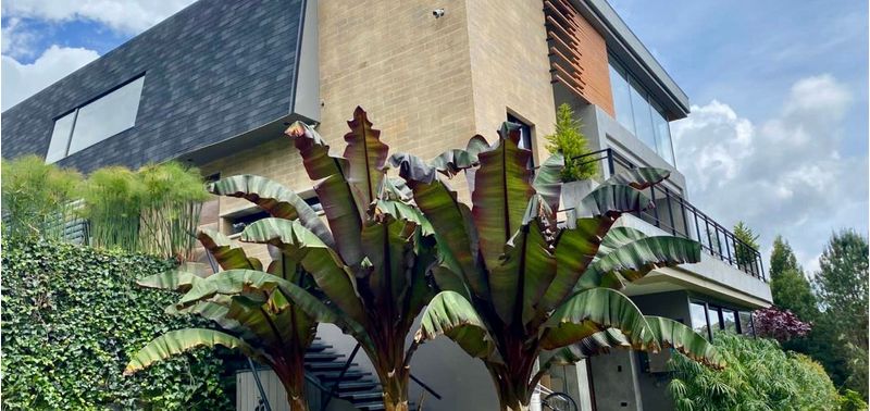 Casa en Venta en Envigado, Alto De Palmas-21