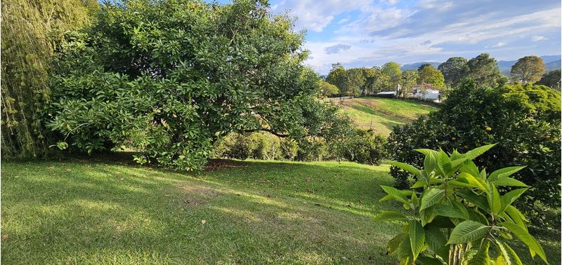 Casa en Venta en Rionegro, Rionegro-4