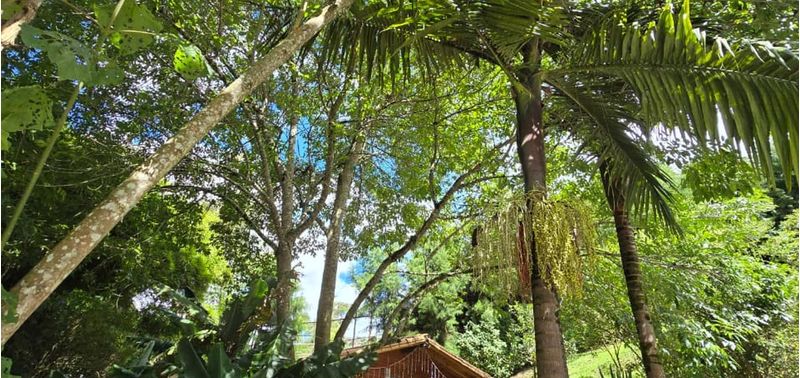 Casa en Venta en Guarne, Bellavista-16