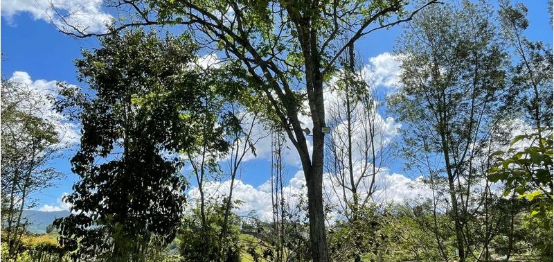 Casa en Venta en El Carmen De Viboral, El Carmen de Viboral-19