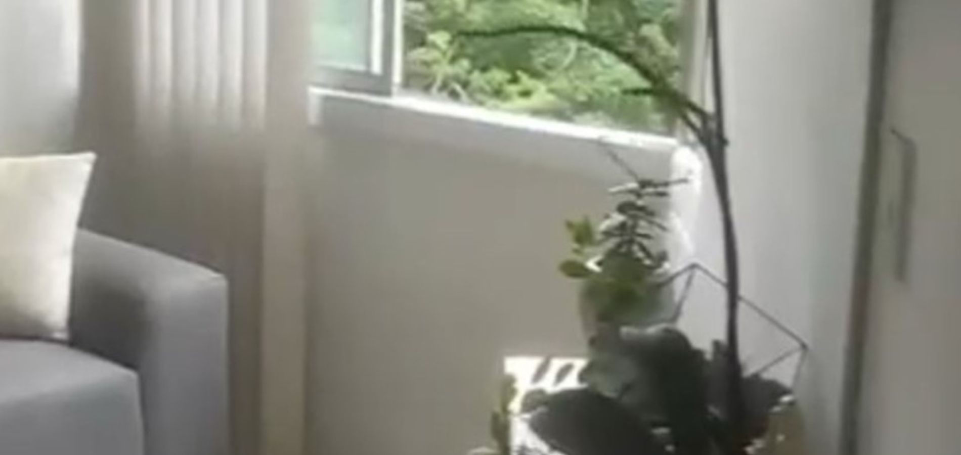 Apartamento en Venta en Medellín, Belén La Palma-2